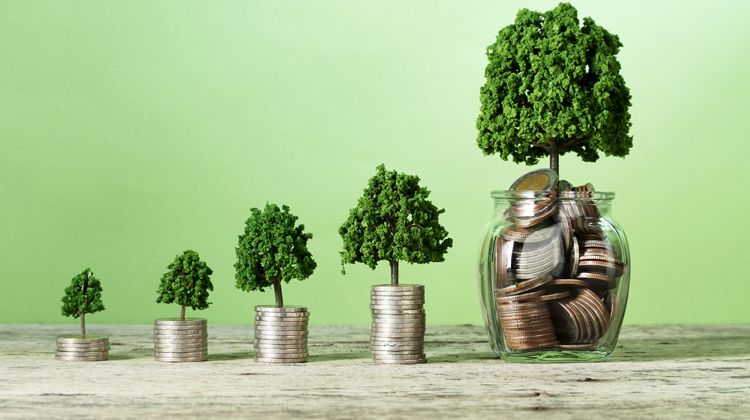 Sustainable Finance (1)